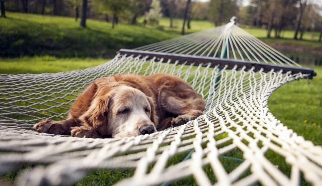 Técnica japonesa para superar la pereza