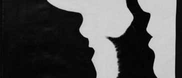 Lo primero que veas refleja tus emociones