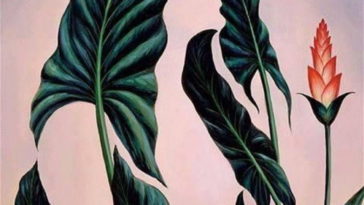 Lo primero que veas te dará un excelente mensaje