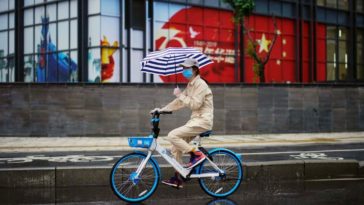 El poder de la gratitud en tiempos de crisis