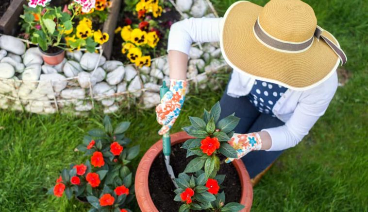 Jardinería es el pasatiempo ayuda a la salud mental
