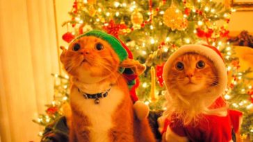 Nostalgia de la navidad-min