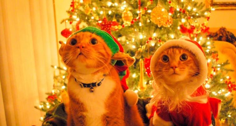 Nostalgia de la navidad-min